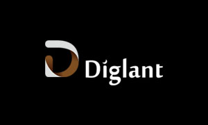 Diglant - China Mattress Factory