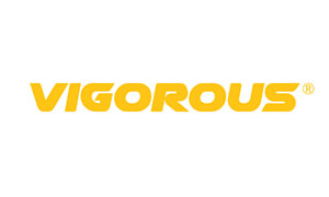 Vigorous electric tricycle manufacturers in China
