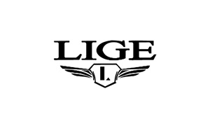 Lige quartz watch factory