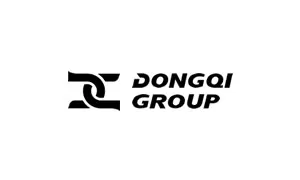 Dongqi - China crane manufacturers