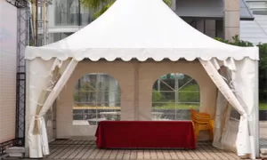 COSCO 6x6 canopy