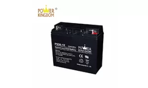 Power Kingdom 6-DZM-20 Battery